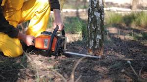 Best Firewood Processing and Delivery  in Woods Creek, WA
