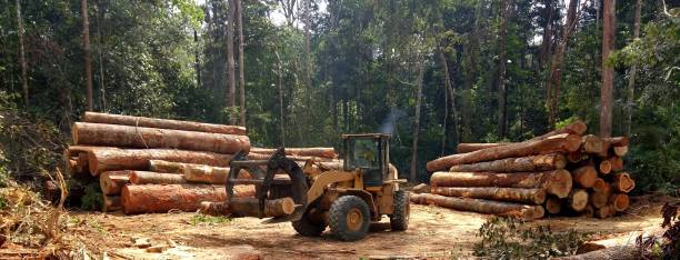 Best Soil Testing and Treatment  in Woods Creek, WA